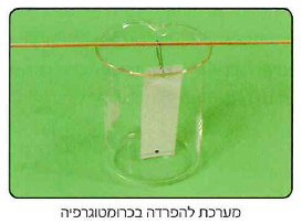 (בספר ארבע תמונות, היעזר במנחה)